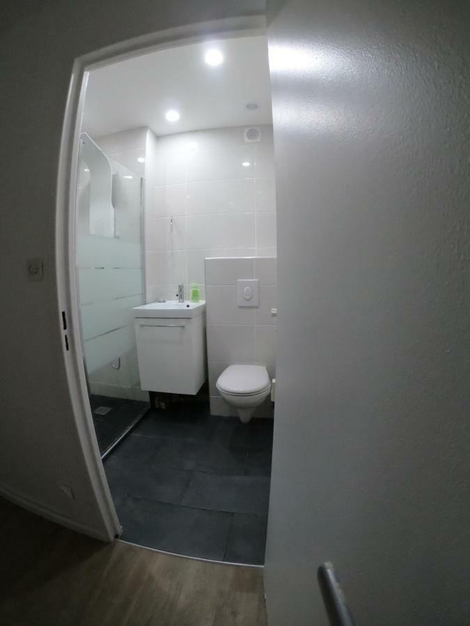 Cozy Appartement Gare Pompidou メス エクステリア 写真